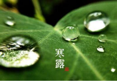 微信图片_2025-10-13_111844_971.png