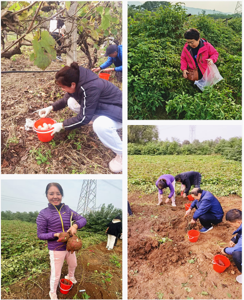 微信图片_2025-10-28_144035_253.png 微信图片_2025-10-28_144035_253.png